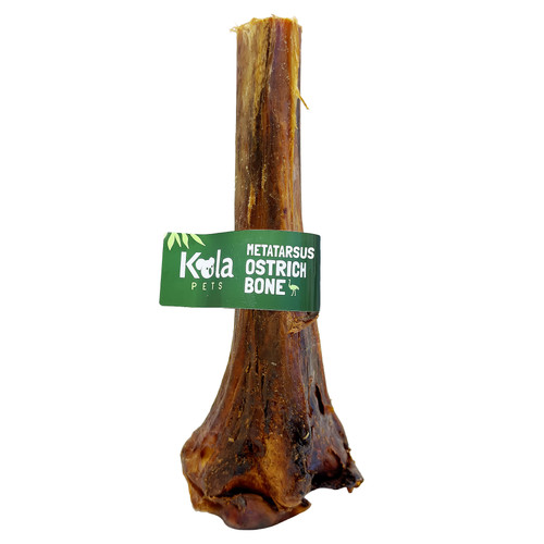 Metatarsus ostrich bones - metatarsus,