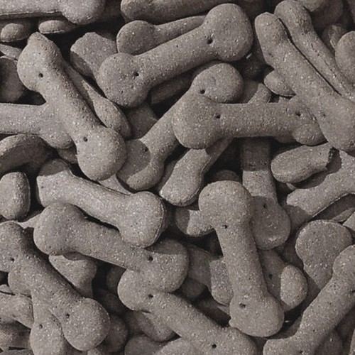 Charcoal bones pointer dog - pointer,