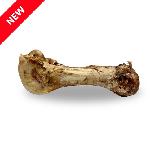 Jumbo ostrich bone - ostrich,