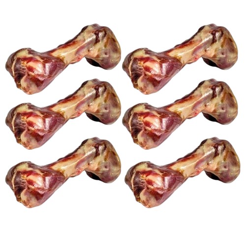 Serrano ham bones - serrano, dog