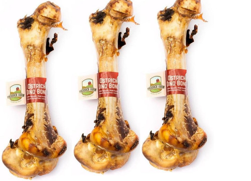 Ostrich dino bone - ostrich, for