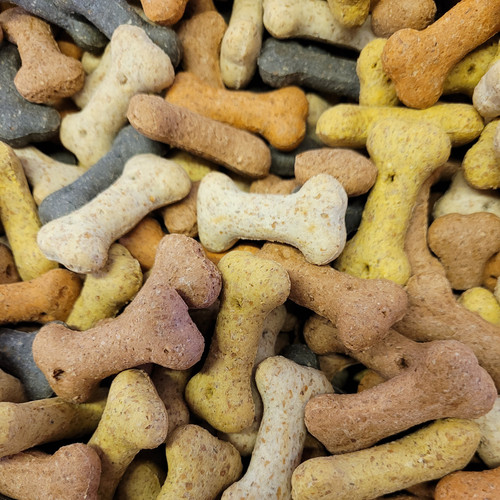 Assorted mini bones - mini, pointer