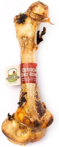 Paddock farm ostrich dino - paddock,