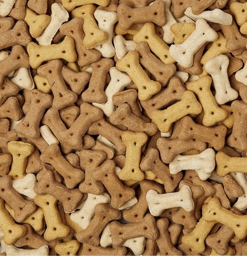 Small dog bone biscuits low - dog,