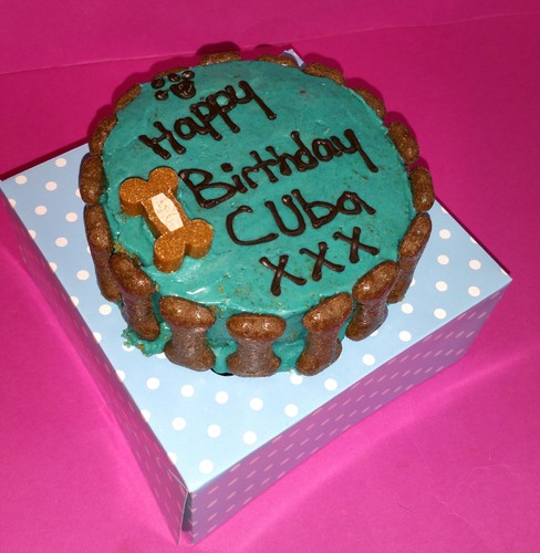 Dog birthday cake blue bone - dog,
