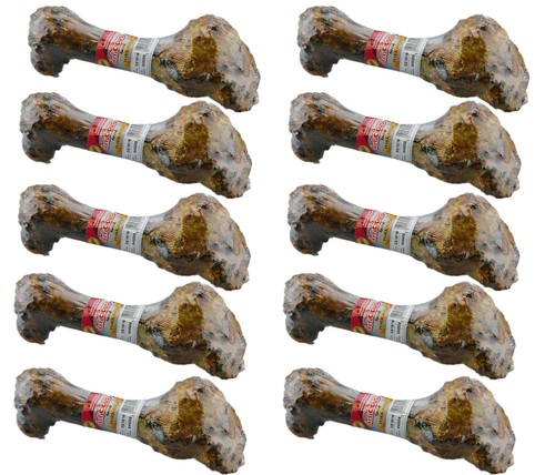 Dog bone pack 10 - bone,