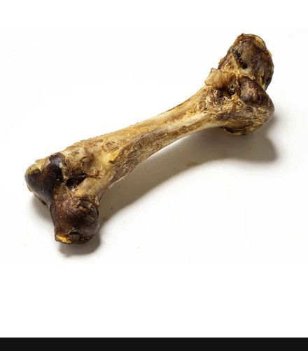 Jumbo ostrich bone dog - jumbo,