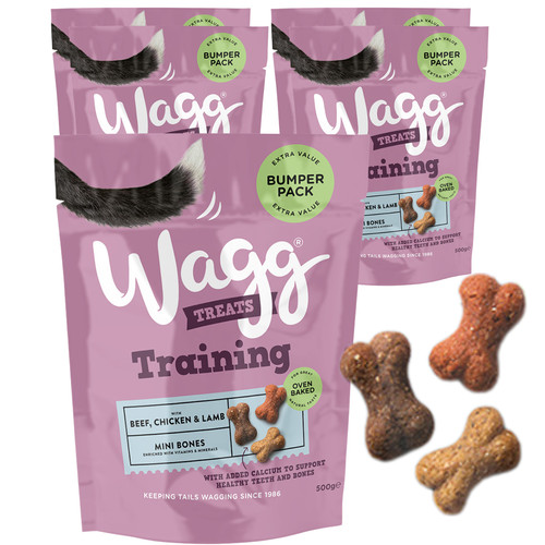 Training treats mini bones - treats,