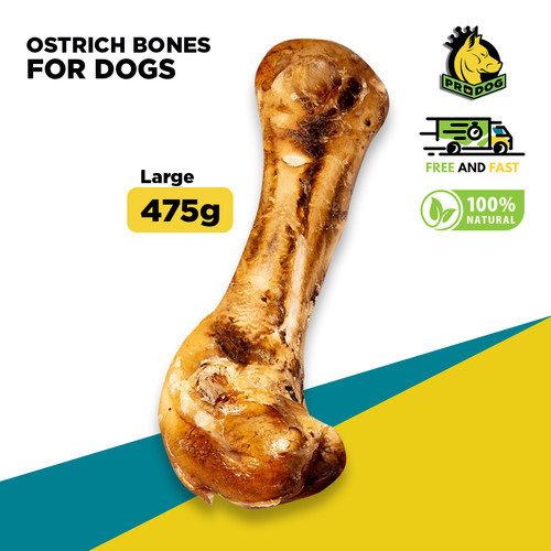 Ostrich bones large jumbo - ostrich,